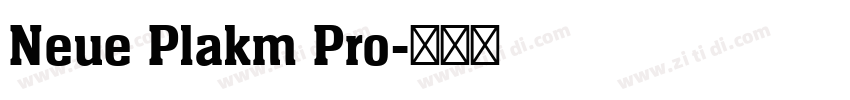 Neue Plakm Pro字体转换